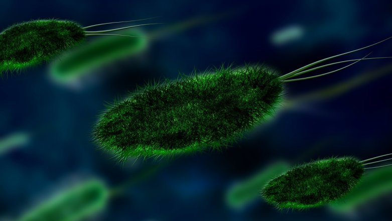 To nie żart - naukowcy chcą użyć bakterii do zasilania małych urządzeń
