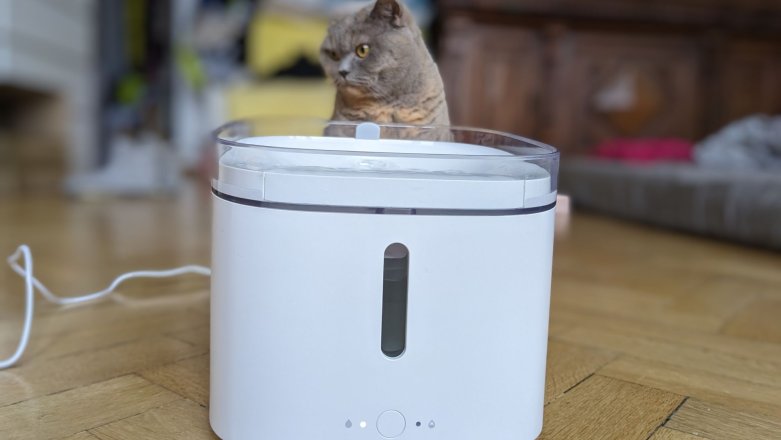 Twój kot kupowałby Xiaomi Smart Pet Fountain. Chyba że nie