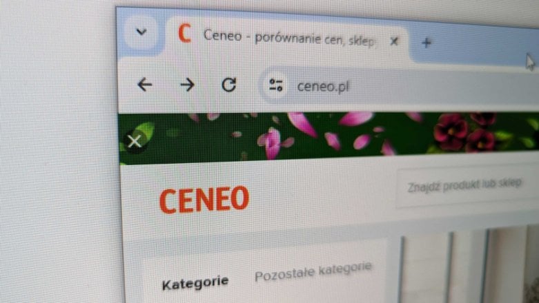 Google dostało po łapach od polskiego sądu. Nie może blokować Ceneo.pl